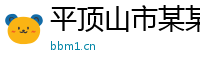 平顶山市某某投资管理运营部